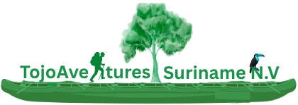 Tojoadventures Suriname