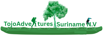 Tojoadventures Suriname
