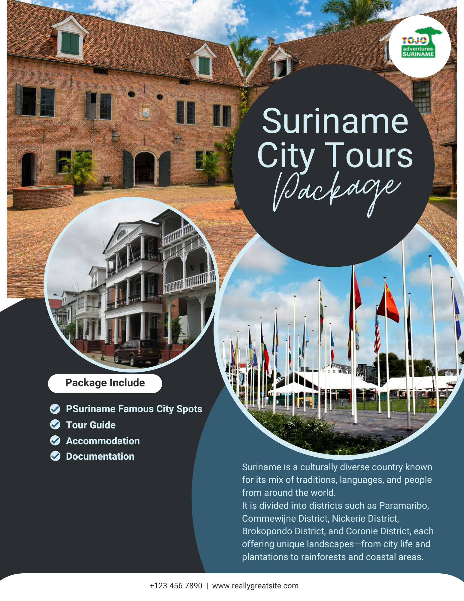 White Modern Paris Travel Flyer